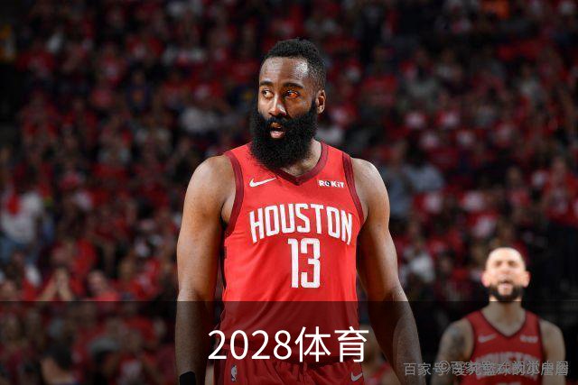 2028体育公司介绍